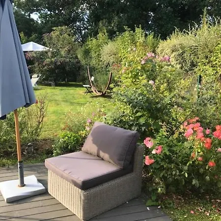 Les Coquelicots De